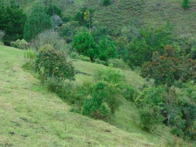 Terreno para Venta en Retiro - 2
