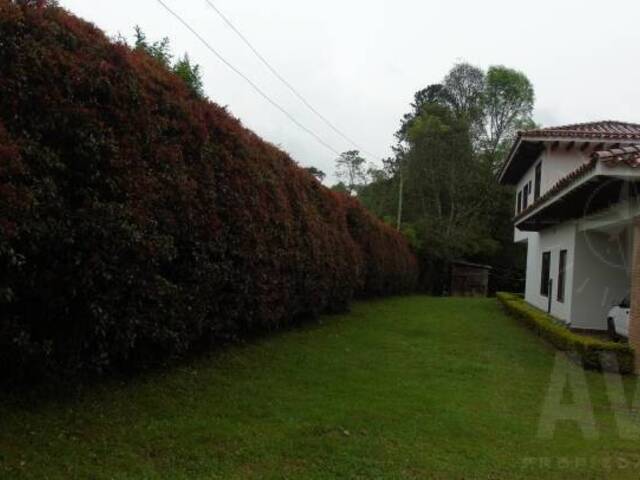 Finca para Venta en La Ceja - 5