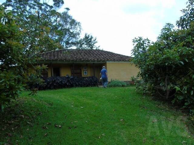 Finca para Venta en Carmen de Viboral - 5