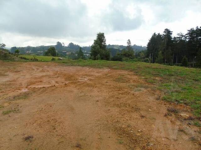 #1149 - Terreno para Venta en Envigado - ANT - 1