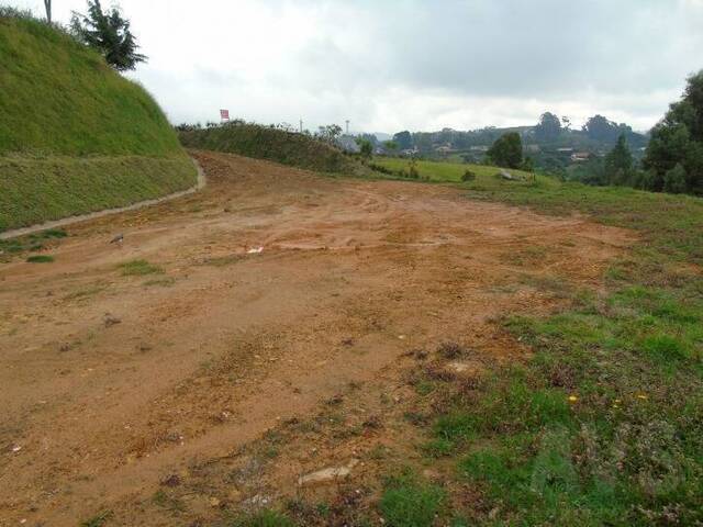 #1149 - Terreno para Venta en Envigado - ANT - 3
