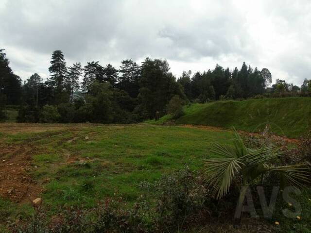 Terreno para Venta en Envigado - 3