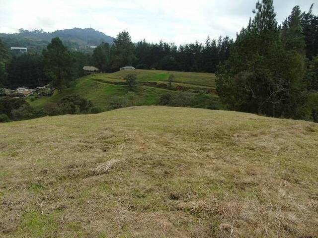 #1172 - Terreno para Venta en Envigado - ANT - 1