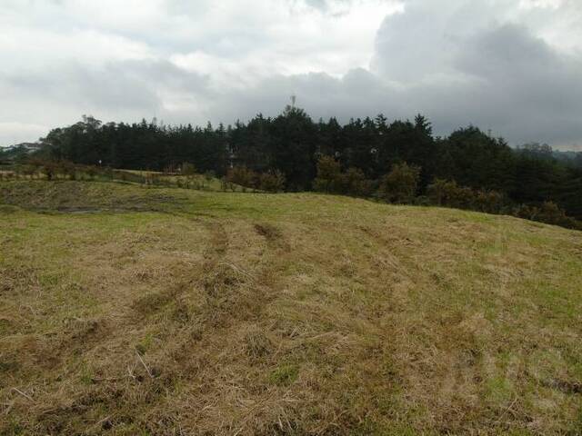 #1172 - Terreno para Venta en Envigado - ANT - 3