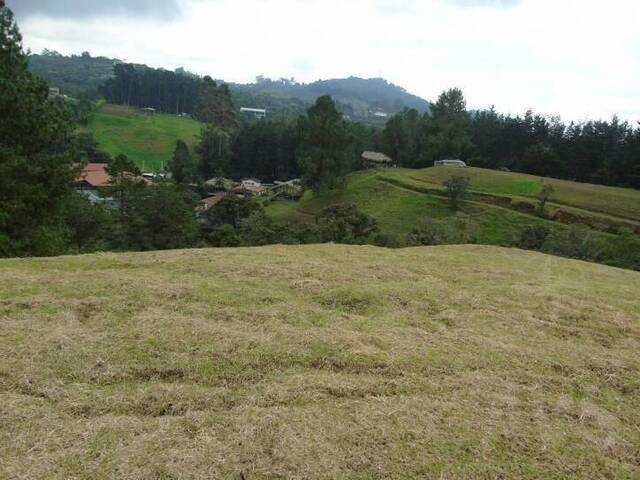 Terreno para Venta en Envigado - 4