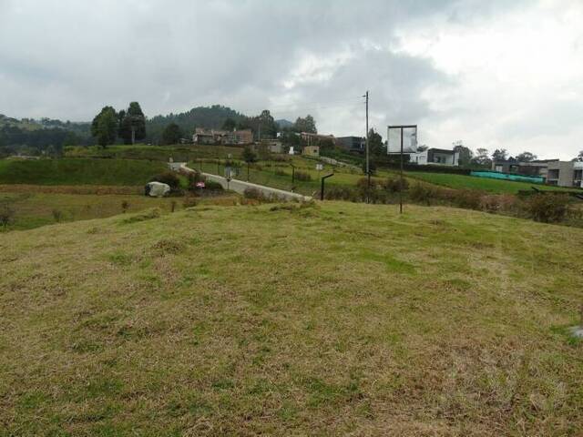 Terreno para Venta en Envigado - 5