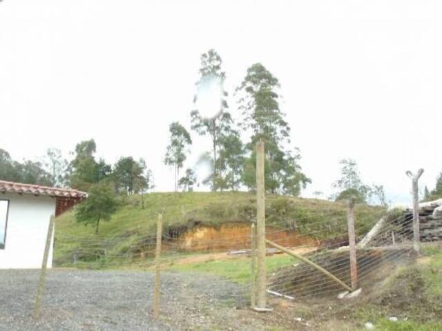 Industrial para Venta en Guarne - 4