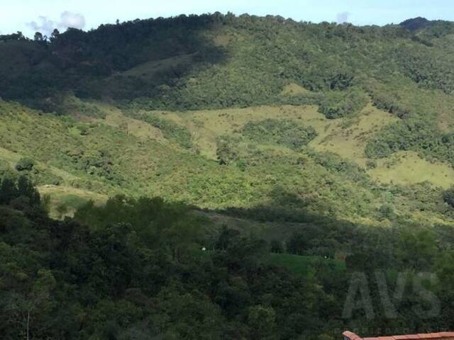 #1203 - Finca para Venta en La Ceja - ANT - 2