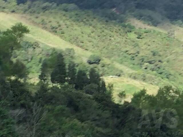 #1203 - Finca para Venta en La Ceja - ANT - 3