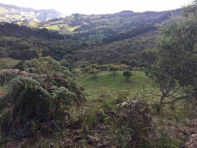 Finca para Venta en La Ceja - 4