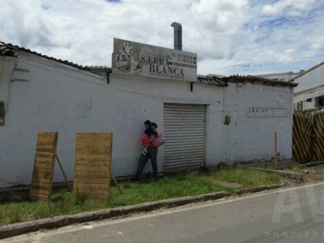 Terreno para Venta en La Ceja - 5