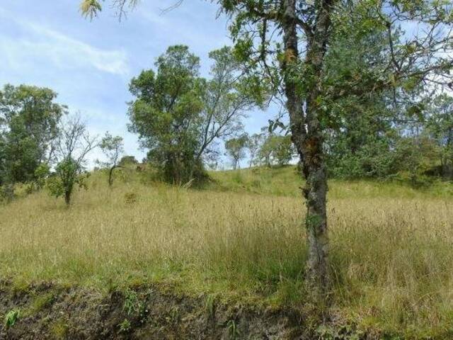 Terreno para Venta en Retiro - 3