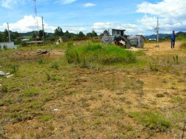#1201 - Terreno para Venta en Envigado - ANT - 3