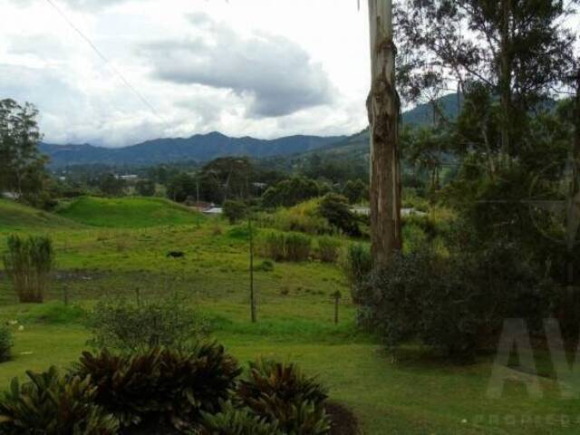 Finca para Venta en La Ceja - 4