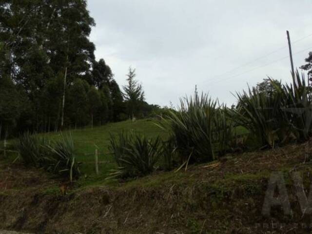 Finca para Venta en La Ceja - 5