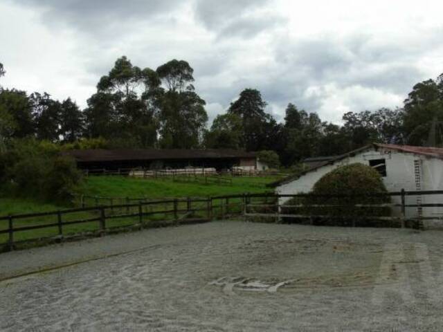 Finca para Venta en La Ceja - 5