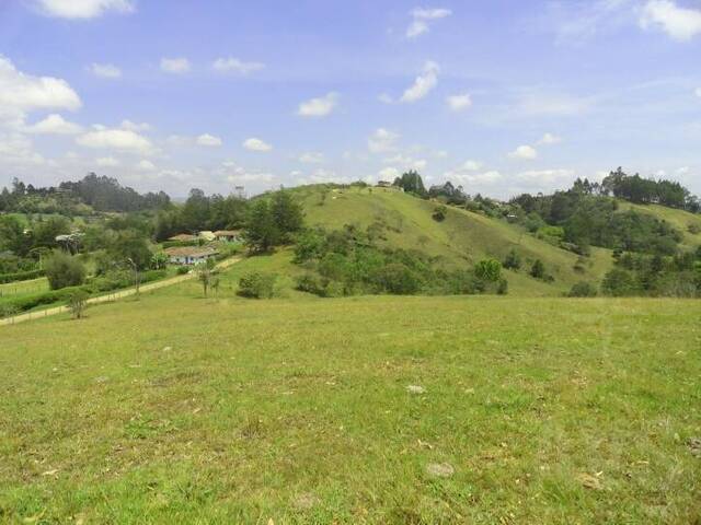Terreno para Venta en Rionegro - 2