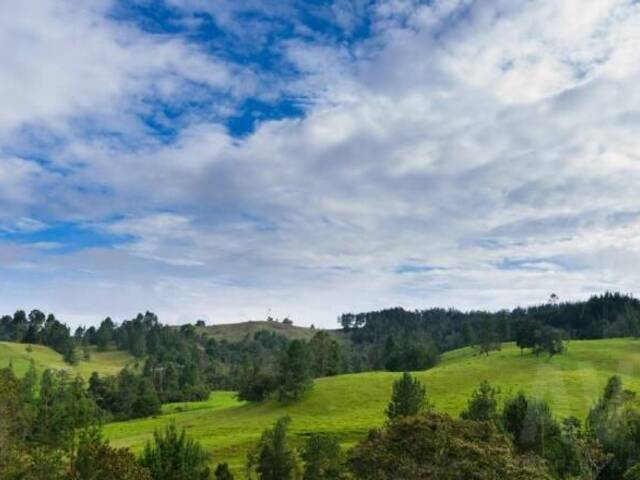 Terreno para Venta en Retiro - 2