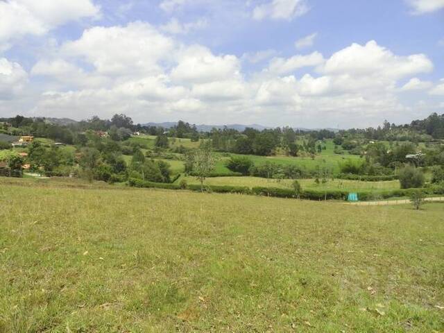 Terreno para Venta en Rionegro - 3