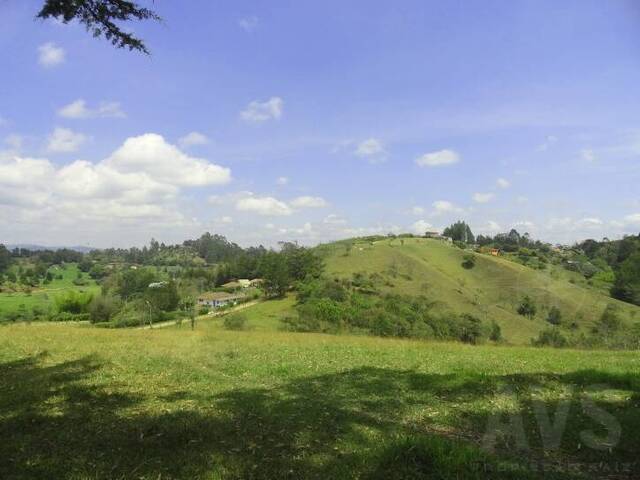 Terreno para Venta en Rionegro - 4