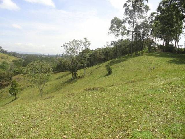 Terreno para Venta en Rionegro - 5