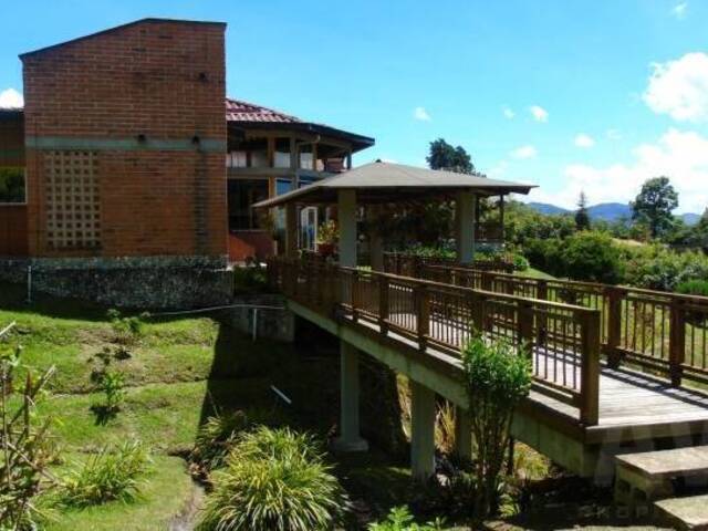Finca para Venta en La Ceja - 2