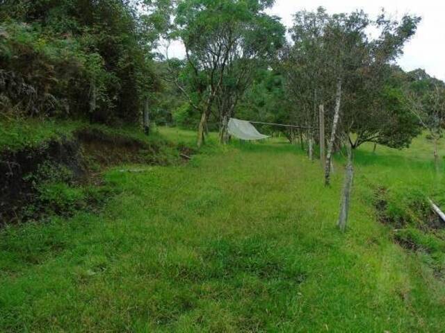Terreno para Venta en Carmen de Viboral - 4