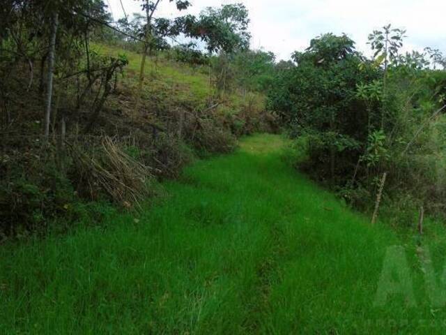 Terreno para Venta en Carmen de Viboral - 5