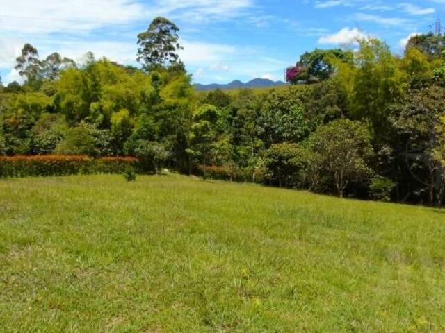 Terreno para Venta en Rionegro - 2