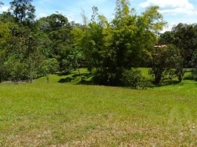 Terreno para Venta en Rionegro - 4