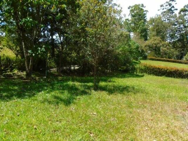 Terreno para Venta en Rionegro - 5