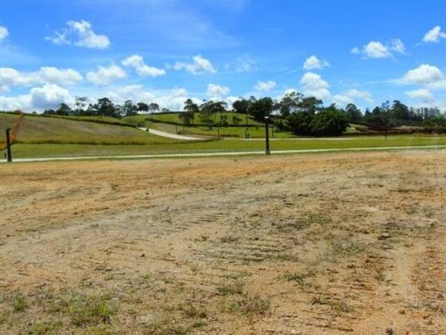Terreno para Venta en Rionegro - 4