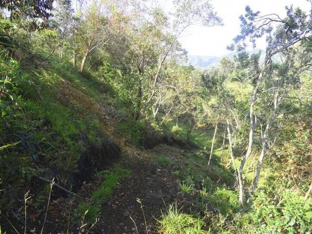 Terreno para Venta en Guarne - 4