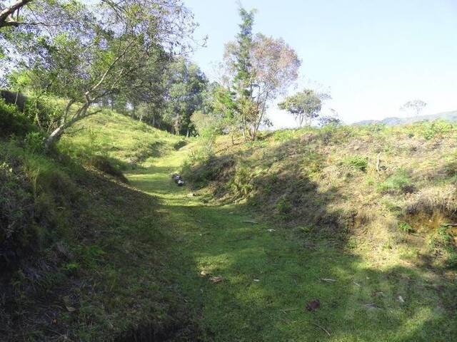 Terreno para Venta en Guarne - 5