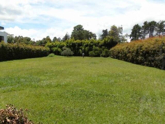 #1386 - Terreno para Venta en Rionegro - ANT - 1
