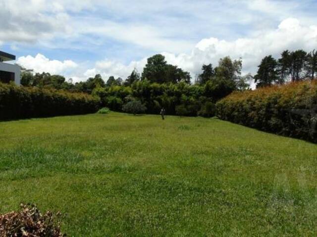 #1386 - Terreno para Venta en Rionegro - ANT - 2