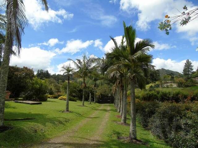 Finca para Venta en Rionegro - 5