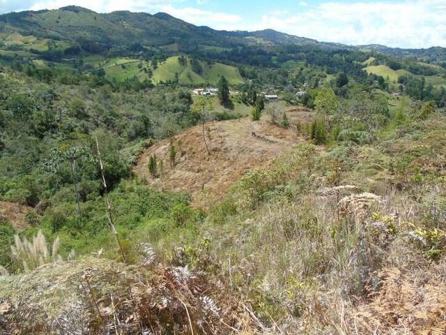 #839 - Terreno para Venta en Rionegro - ANT - 2