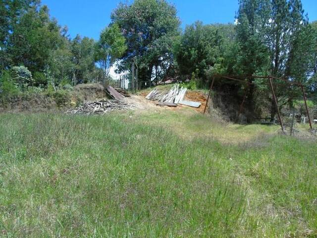 #839 - Terreno para Venta en Rionegro - ANT - 3