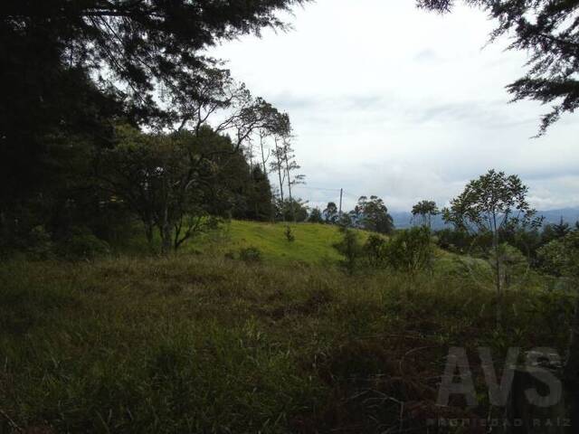 Finca para Venta en Envigado - 5