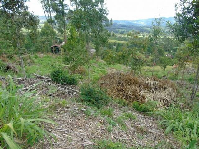 Terreno para Venta en La Ceja - 4