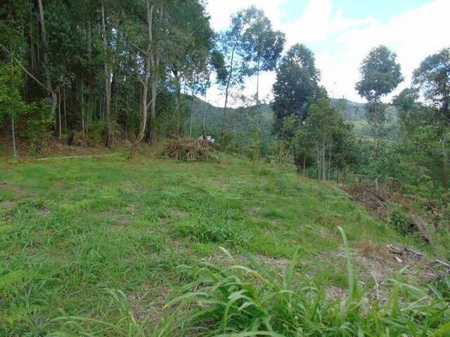 Terreno para Venta en La Ceja - 5