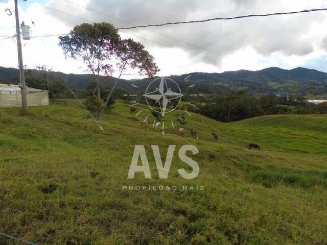Terreno para Venta en La Ceja - 3