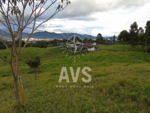Terreno para Venta en La Ceja - 4