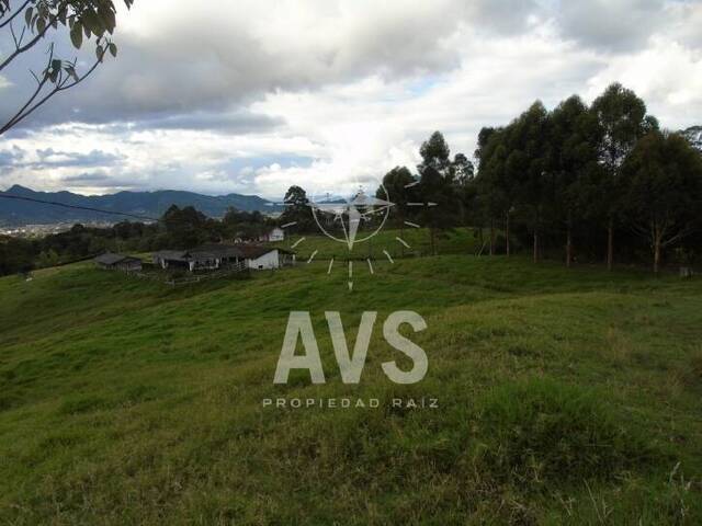 Terreno para Venta en La Ceja - 5