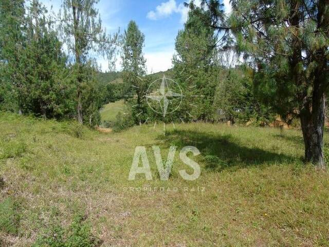 Terreno para Venta en Retiro - 5