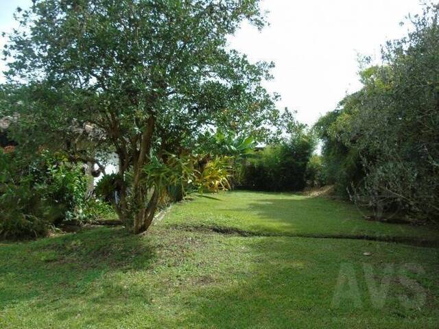 Terreno para Venta en Rionegro - 4