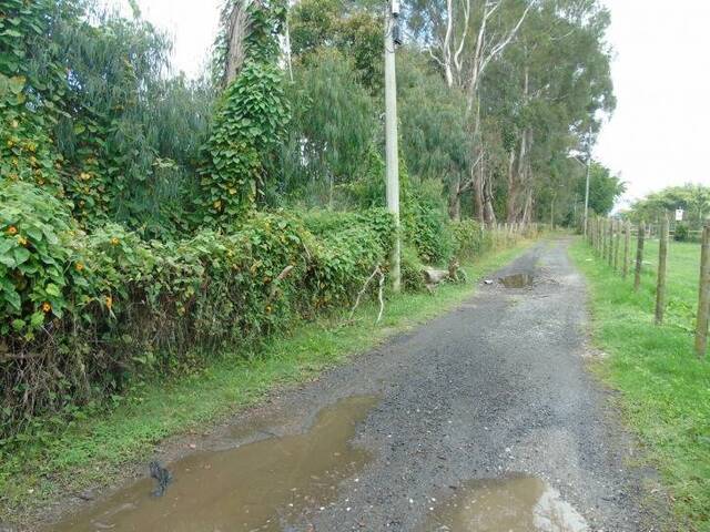 Terreno para Venta en Rionegro - 5