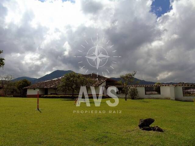 Venta en Vìa La Ceja La Union - La Ceja