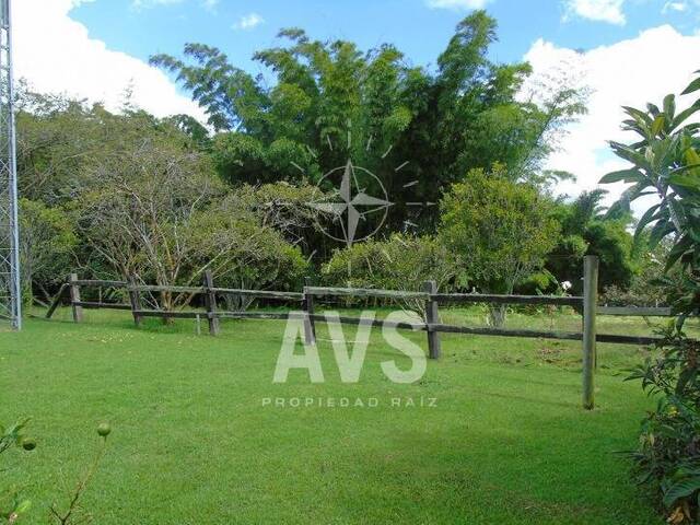 Finca para Venta en La Ceja - 5